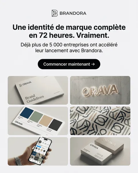 Publicité Meta Ads Brandora : « Une identité de marque complète »